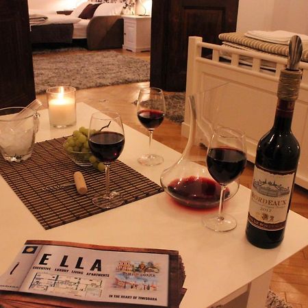 Ella Apartment Timisoara No9 Екстериор снимка