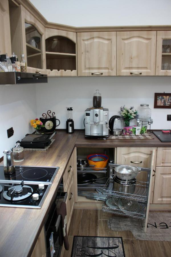 Ella Apartment Timisoara No9 Екстериор снимка